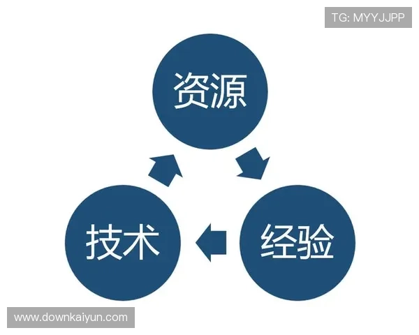 开云网站优化过程中常见问题及解决方案，确保网站运营高效稳定发展